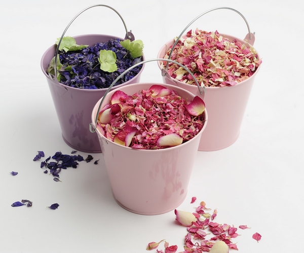 Pink and Lilac Priced at 1499 each these pretty pails come with a 