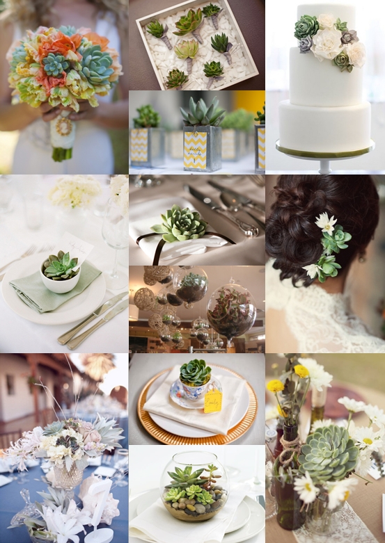 Wedding Flowers and Decorations Using Succulents Mood Board